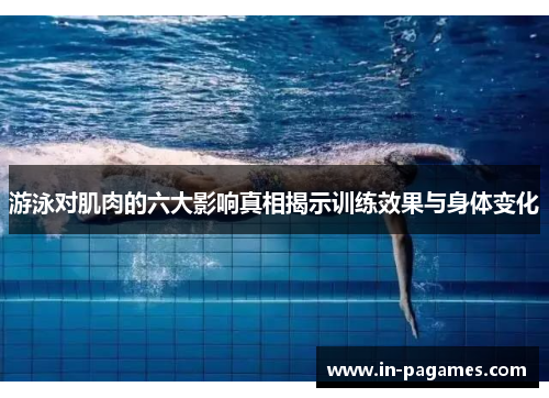 游泳对肌肉的六大影响真相揭示训练效果与身体变化