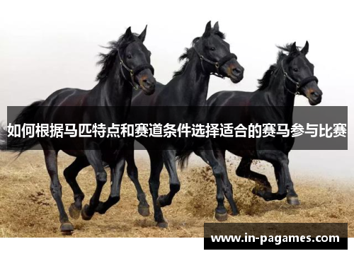 如何根据马匹特点和赛道条件选择适合的赛马参与比赛