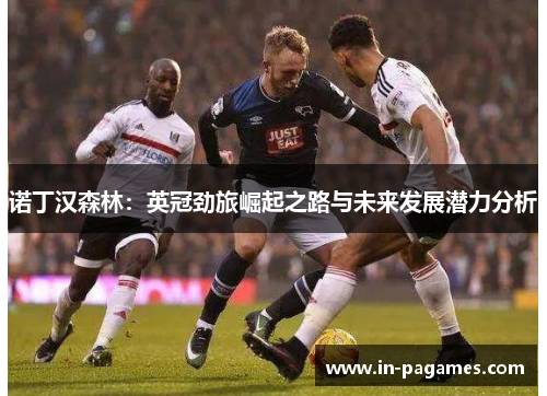 诺丁汉森林：英冠劲旅崛起之路与未来发展潜力分析