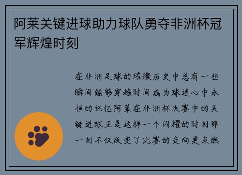 阿莱关键进球助力球队勇夺非洲杯冠军辉煌时刻